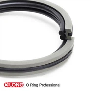 PTFE AQ Sealing Nrog Oring&Xring