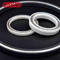 Caij nplooj ntoos hlav Energized PTFE Piston Cov ntsaws ruaj ruaj