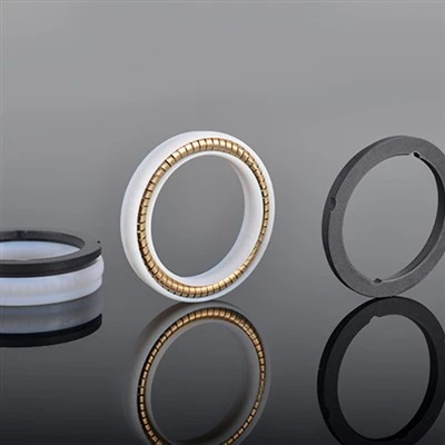 Static PTFE Spring Energized Foob